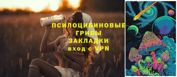 бошки Алексеевка