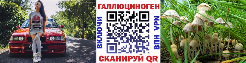 даркнет Telegram  Лангепас  Псилоцибиновые грибы прущие грибы 