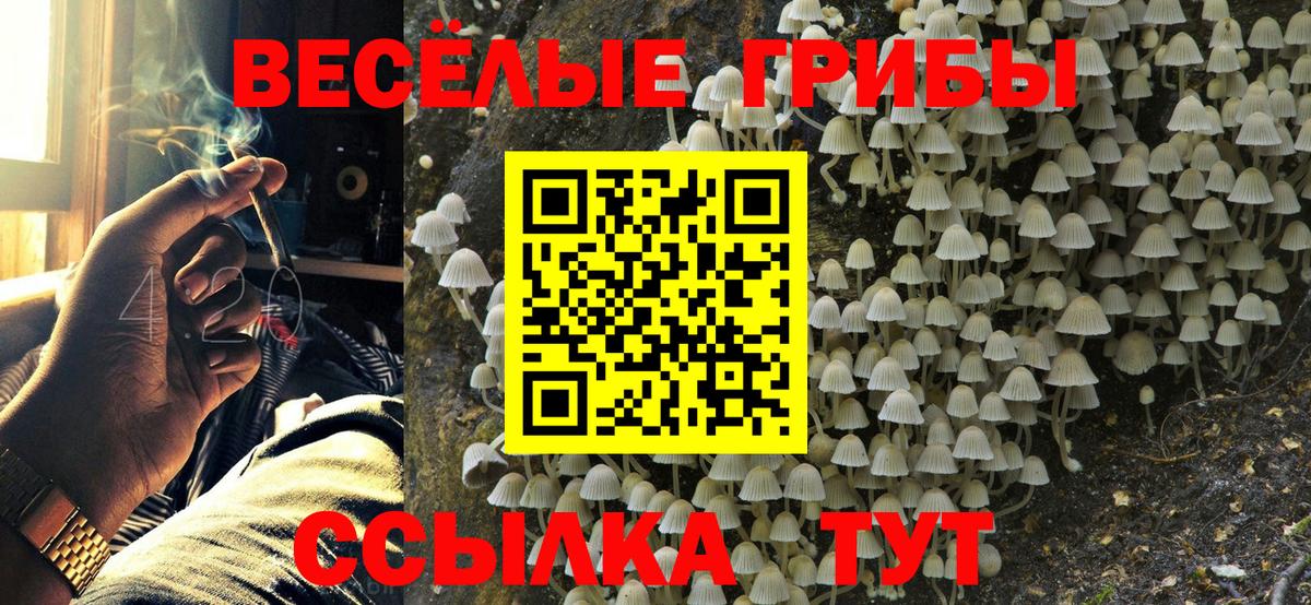 Лангепас  дарнет шоп  Вход с VPN  Галлюциногенные грибы GOLDEN TEACHER 
